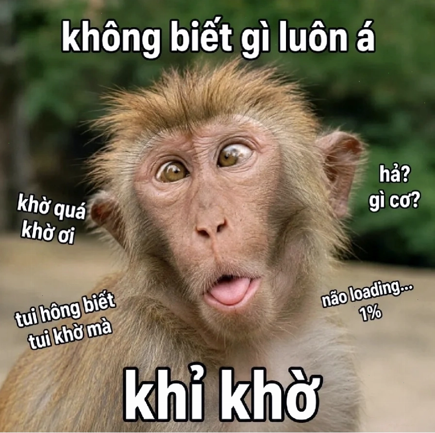 thông não meme khó đỡ