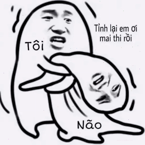 thông não meme ngộ nghĩnh