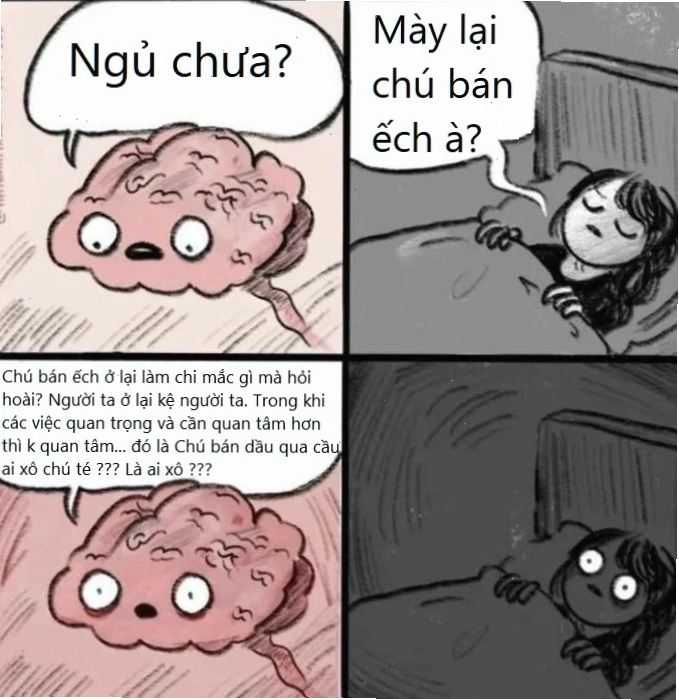 thông não meme vui