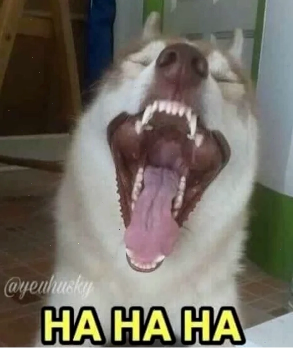 tiếng cười meme