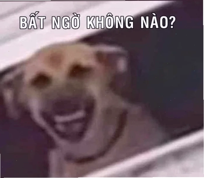 tiếng cười meme
