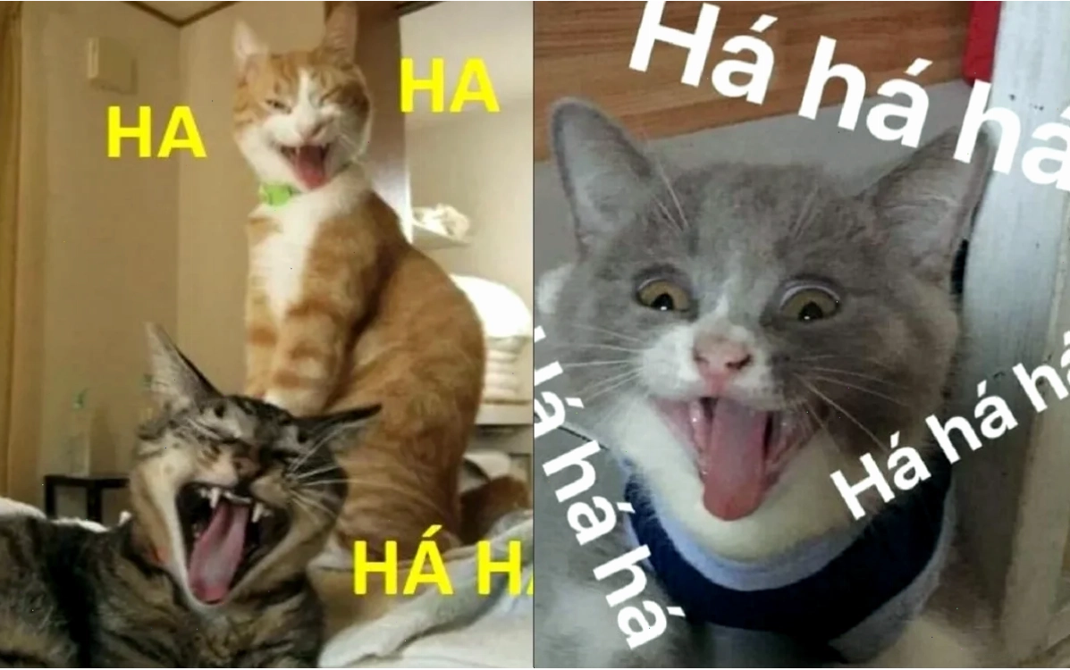 tiếng cười meme