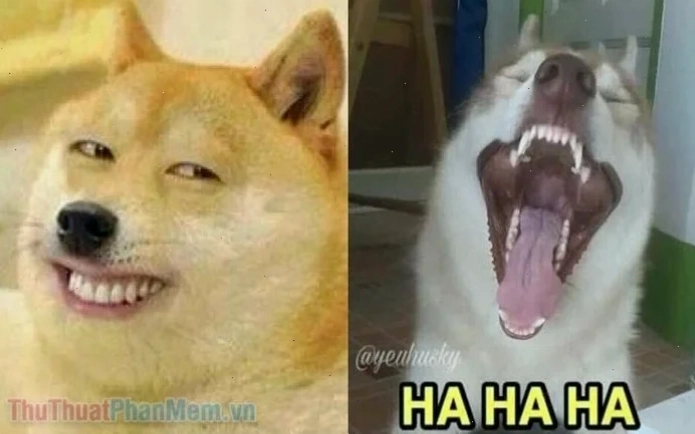 tiếng cười meme