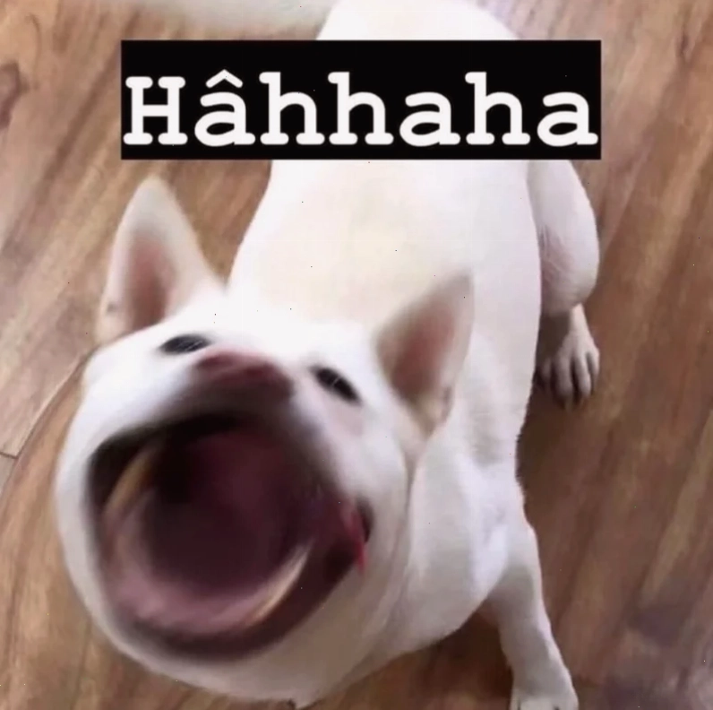 tiếng cười meme