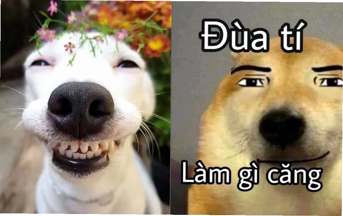 tiếng cười meme