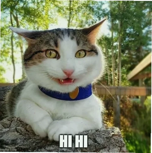tiếng cười meme