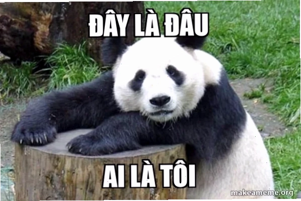 Tình huống khó đỡ với đây là đâu tôi là ai meme