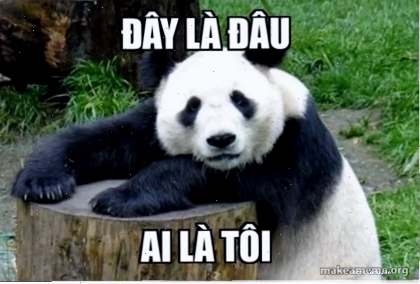 Tình huống khó đỡ với đây là đâu tôi là ai meme