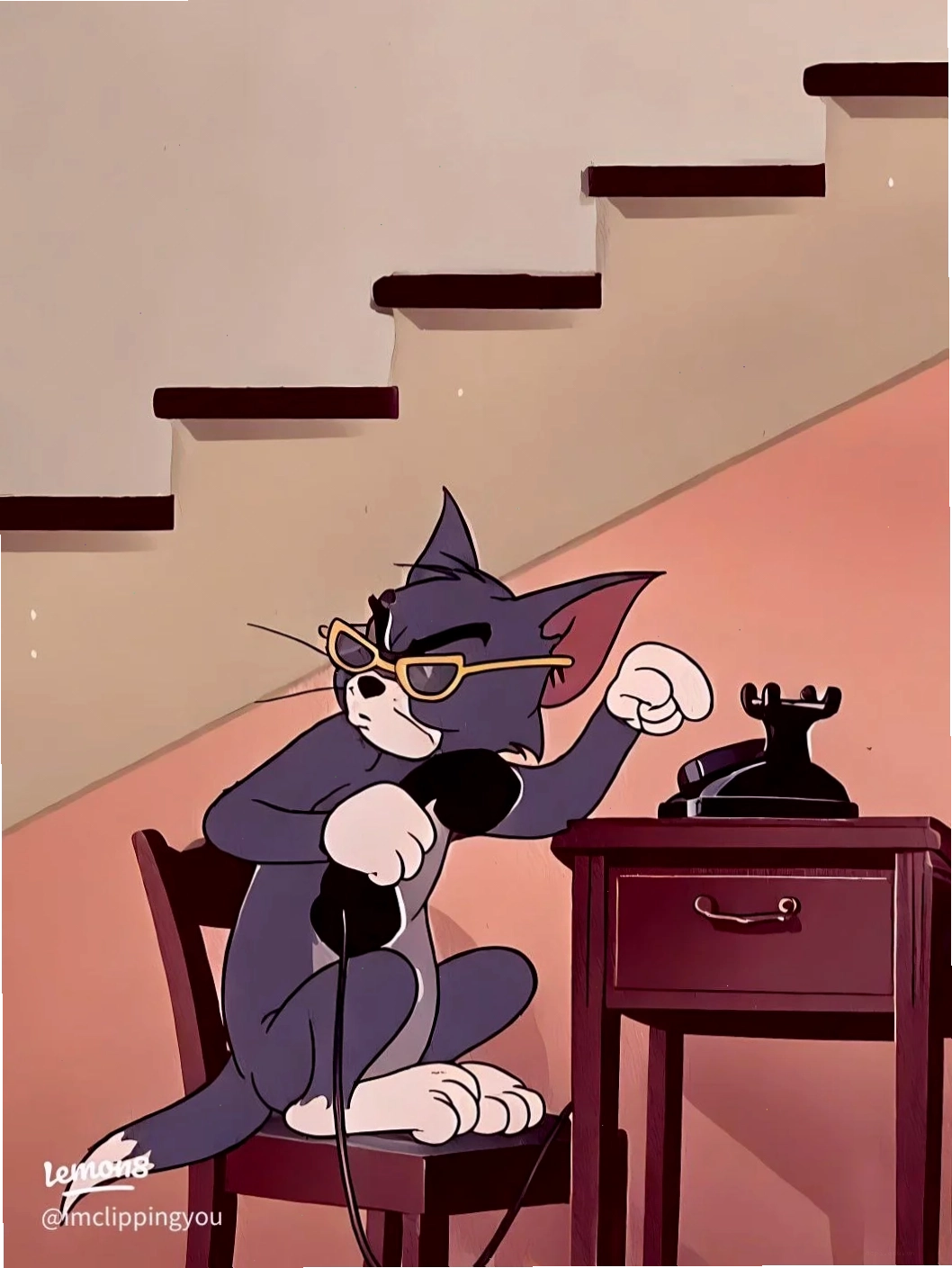tom cat meme 2025