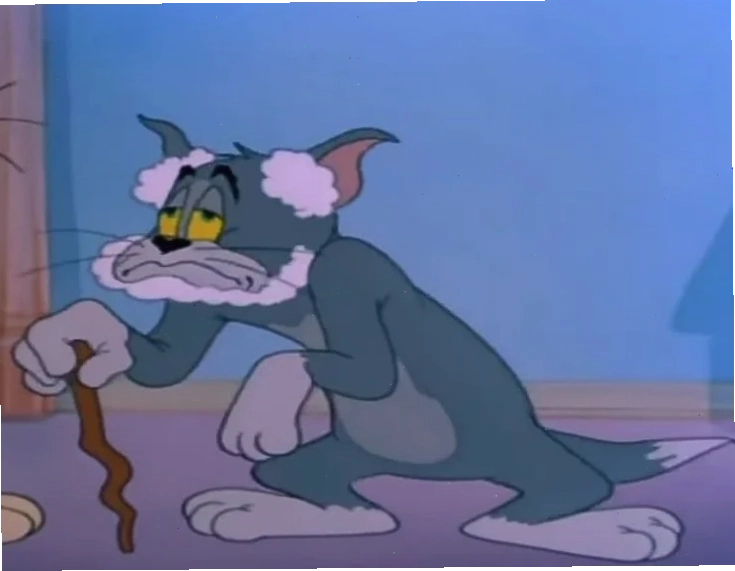 tom cat meme cơ bắp