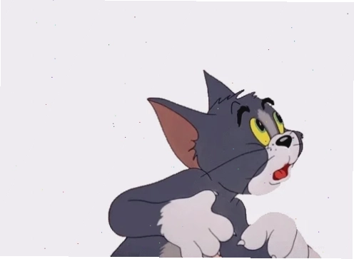 tom cat meme đeo kính