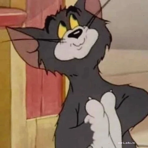 tom cat meme hói