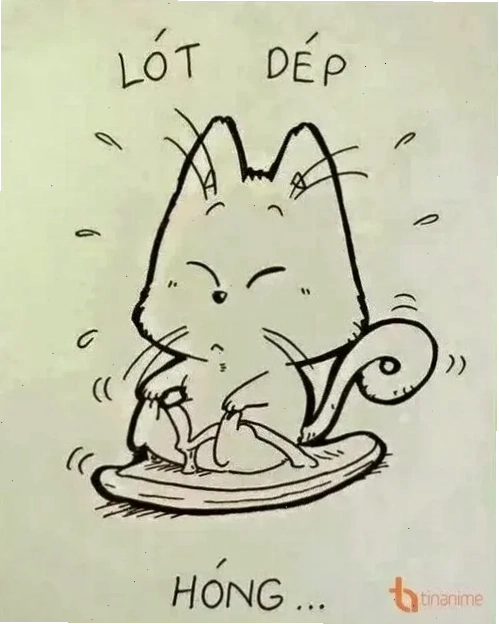 tổng hợp meme hóng