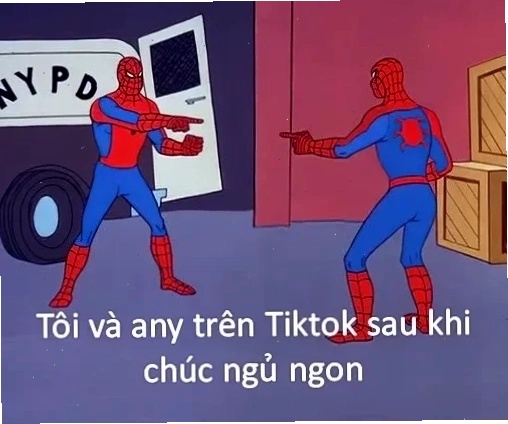 Tổng hợp meme là gì trên facebook cực chất