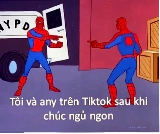Tổng hợp meme là gì trên facebook cực chất