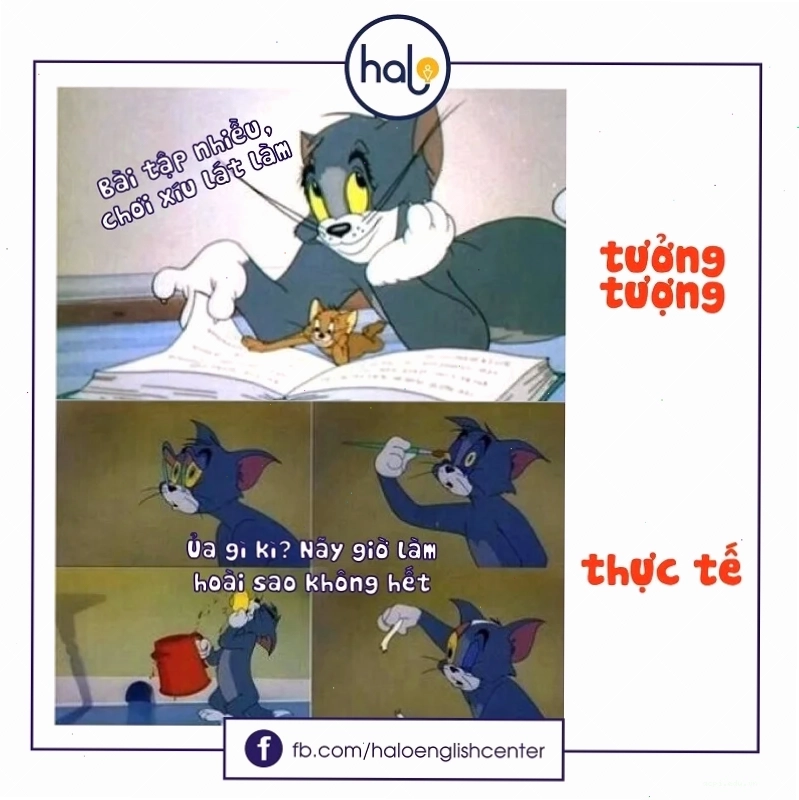 tổng hợp meme tiếng anh