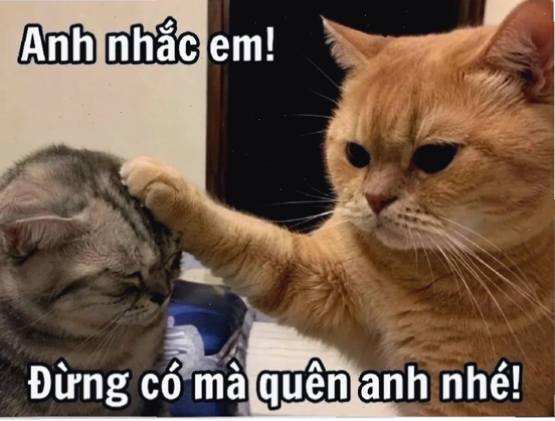 tổng hợp nhạc meme 2023 cực chất