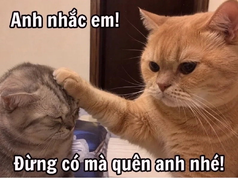 tổng hợp nhạc meme 2023 cực chất