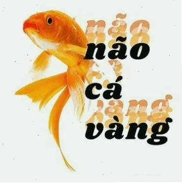 Tổng hợp nhacj meme
