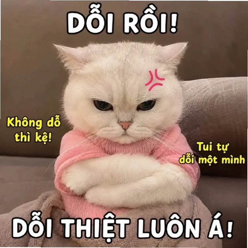 Tổng kết đây là đâu tôi là ai meme