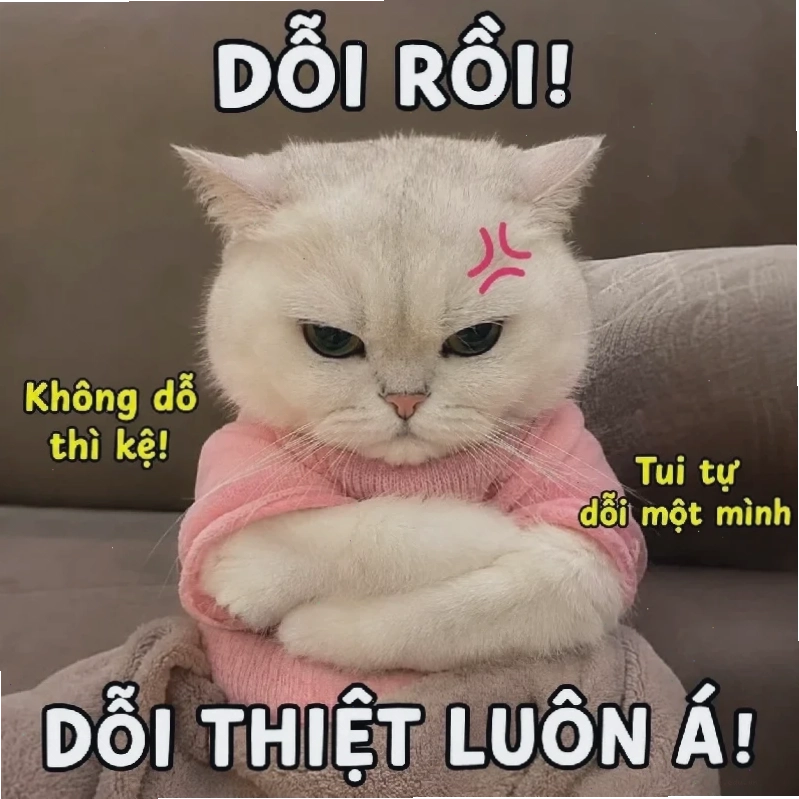 Tổng kết đây là đâu tôi là ai meme