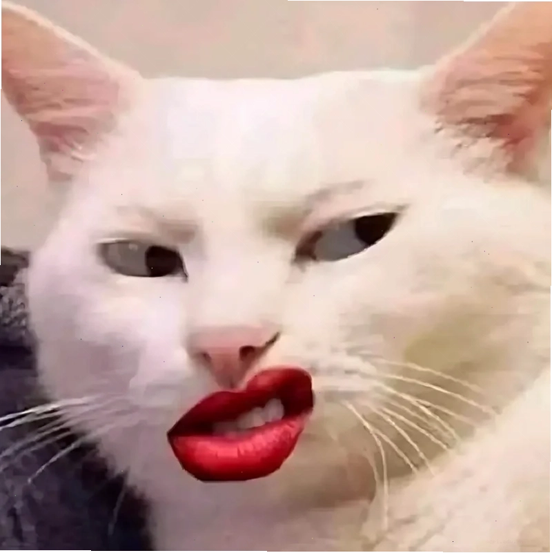 meme em bé trề môi meme em bé
