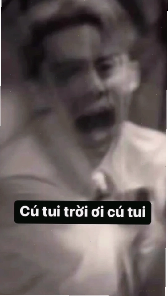 troi oi meme bất lực