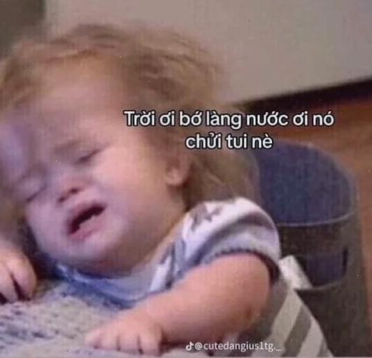 troi oi meme bất lực