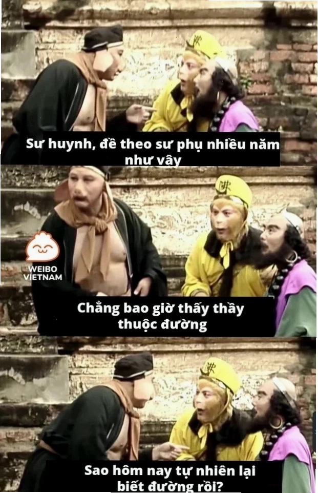 trư bát giới meme bối rối