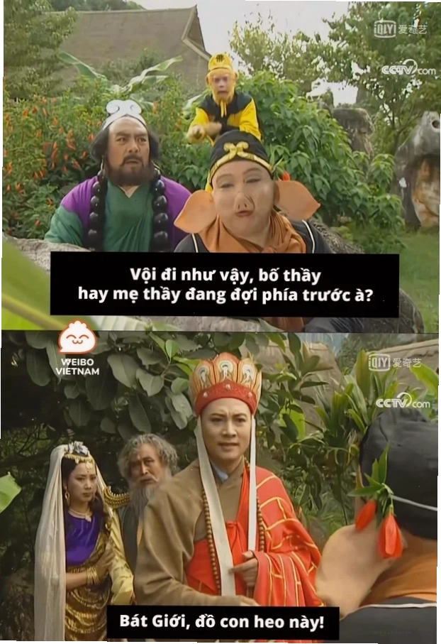 trư bát giới meme chạy trốn