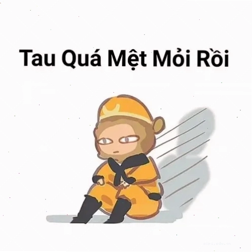 trư bát giới meme cười to