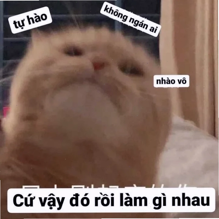 tự hào meme cực chất