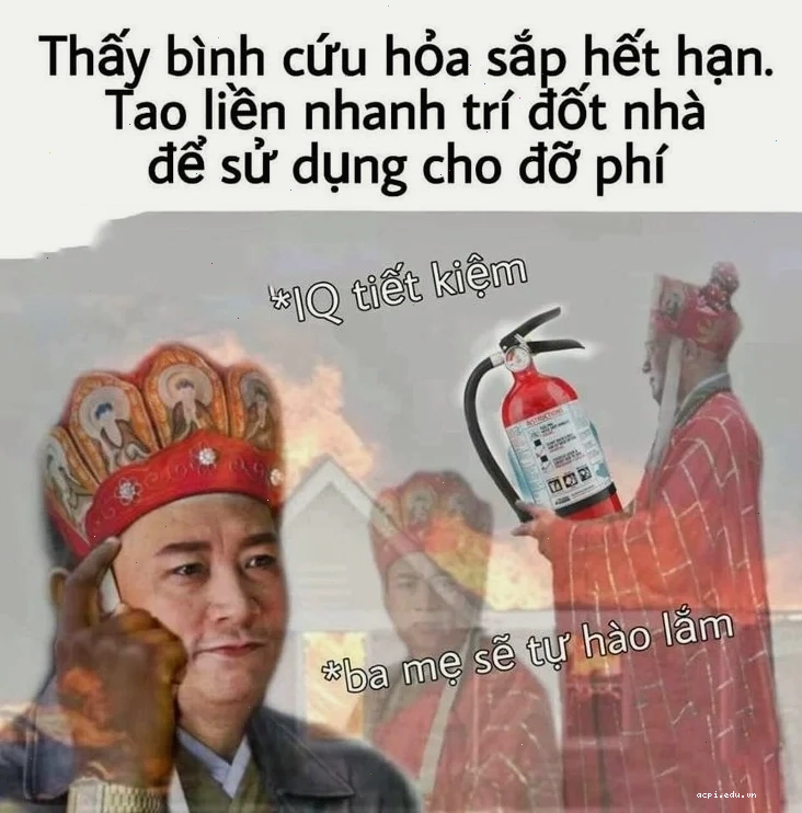 tự hào meme mèo
