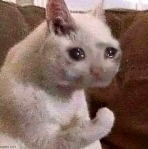 tự hào meme ngầu