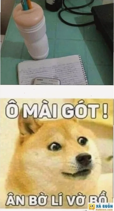 tự hào meme thần thái