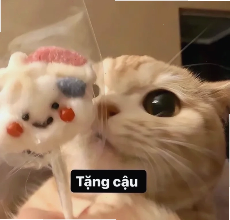 Túi vải in logo kèm họa tiết quà tặng meme