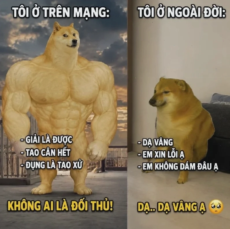 Tương lai của đây là đâu tôi là ai meme