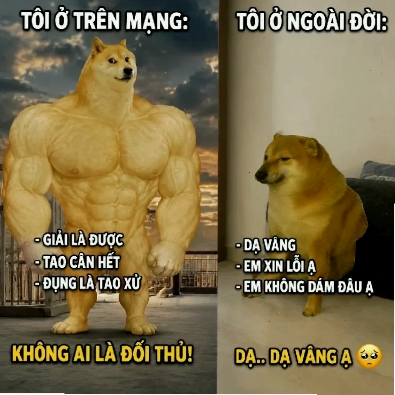 Tương lai của đây là đâu tôi là ai meme
