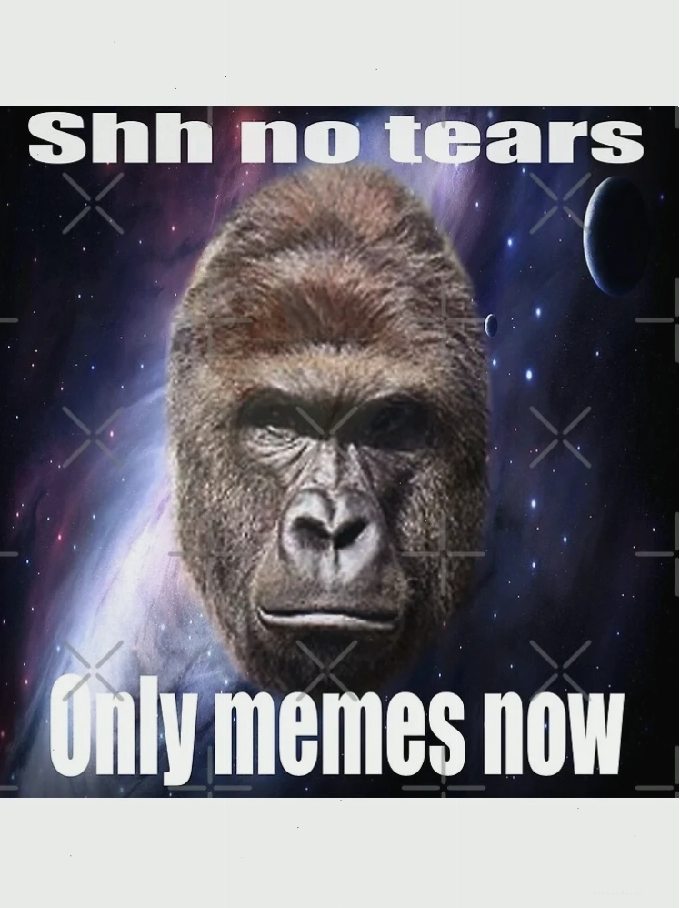 Tương lai của only meme