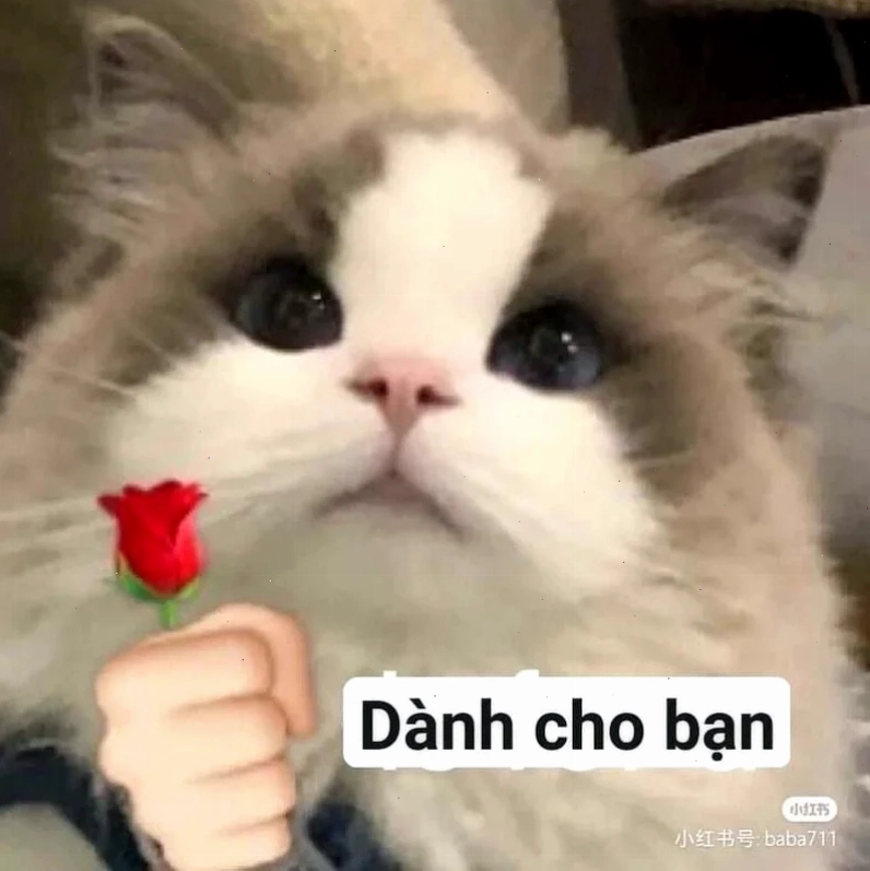 vì bạn xứng đáng meme vui vẻ