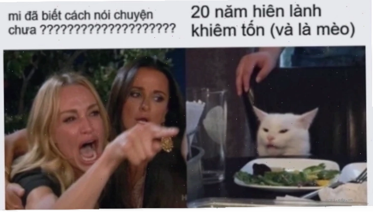 Vì sao nên dùng meme là gì trên facebook