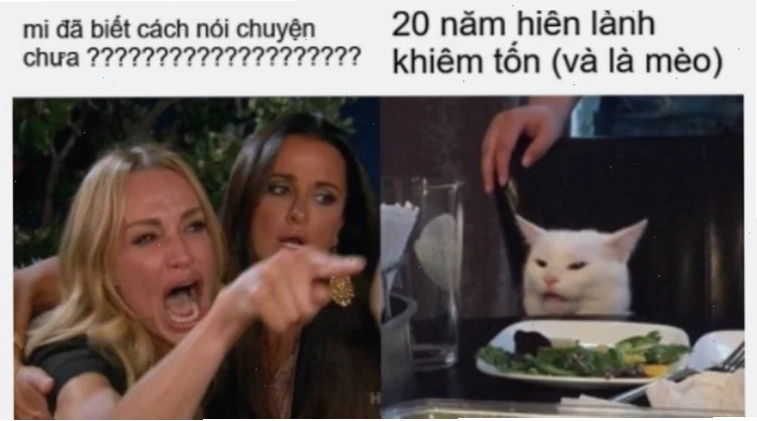 Vì sao nên dùng meme là gì trên facebook