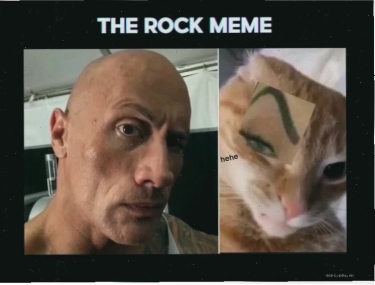 Meme hài hước Video meme hài hước trong các video meme nổi tiếng