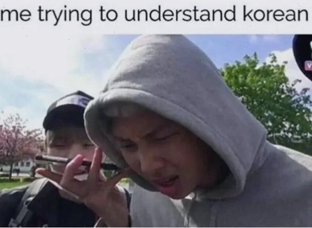 Video meme với nhacj meme