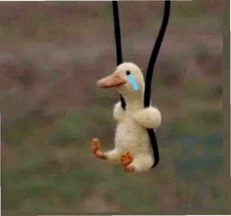 Vịt vàng meme bất ngờ
