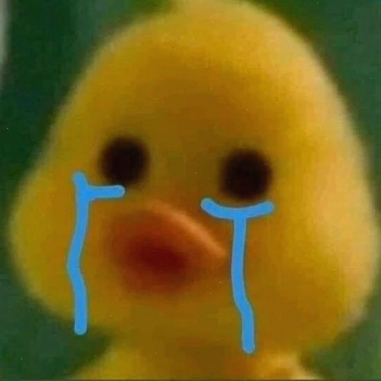Vịt vàng meme với biểu cảm khó hiểu