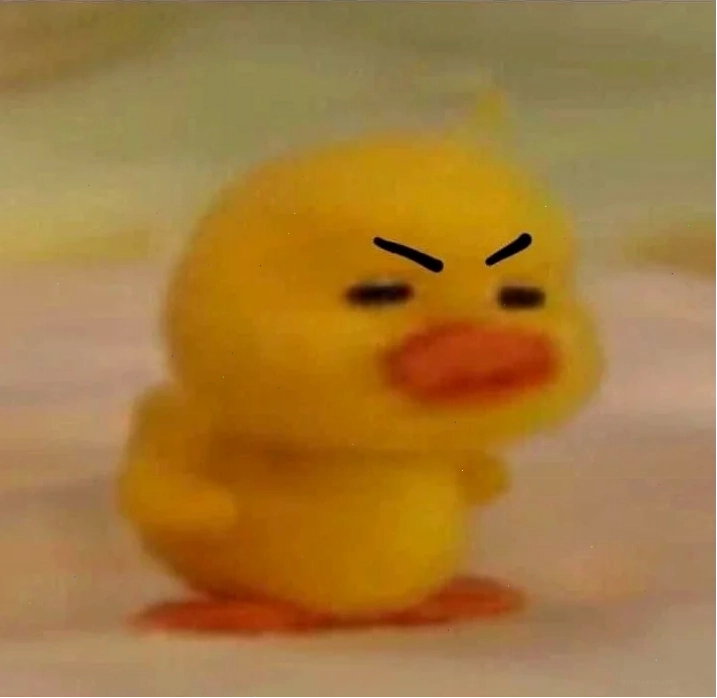 Vịt vàng meme với quà tặng