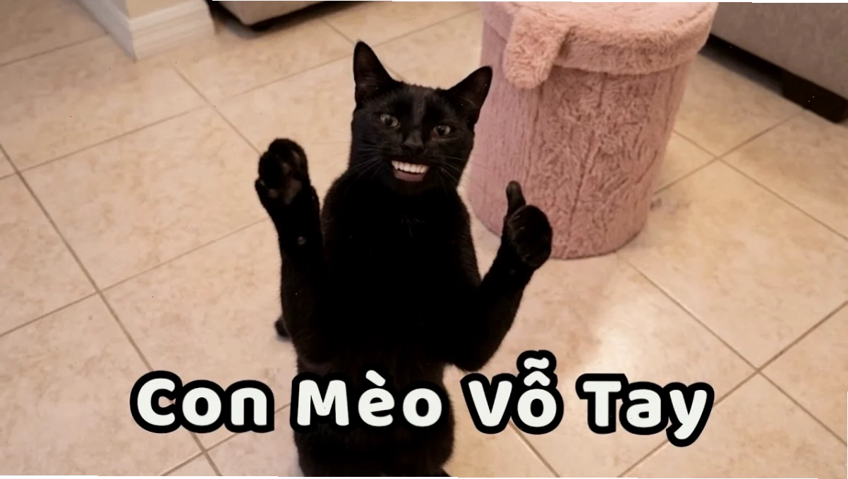 vỗ tay meme