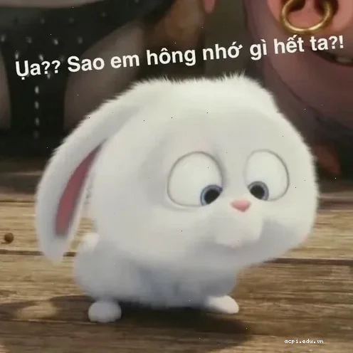 vô tội meme cười đểu