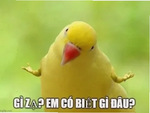vô tội meme đời sống